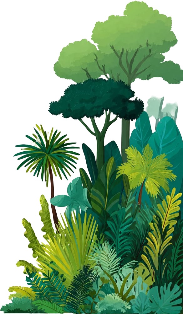 tropical jungle plants and trees vector illustration.jpg